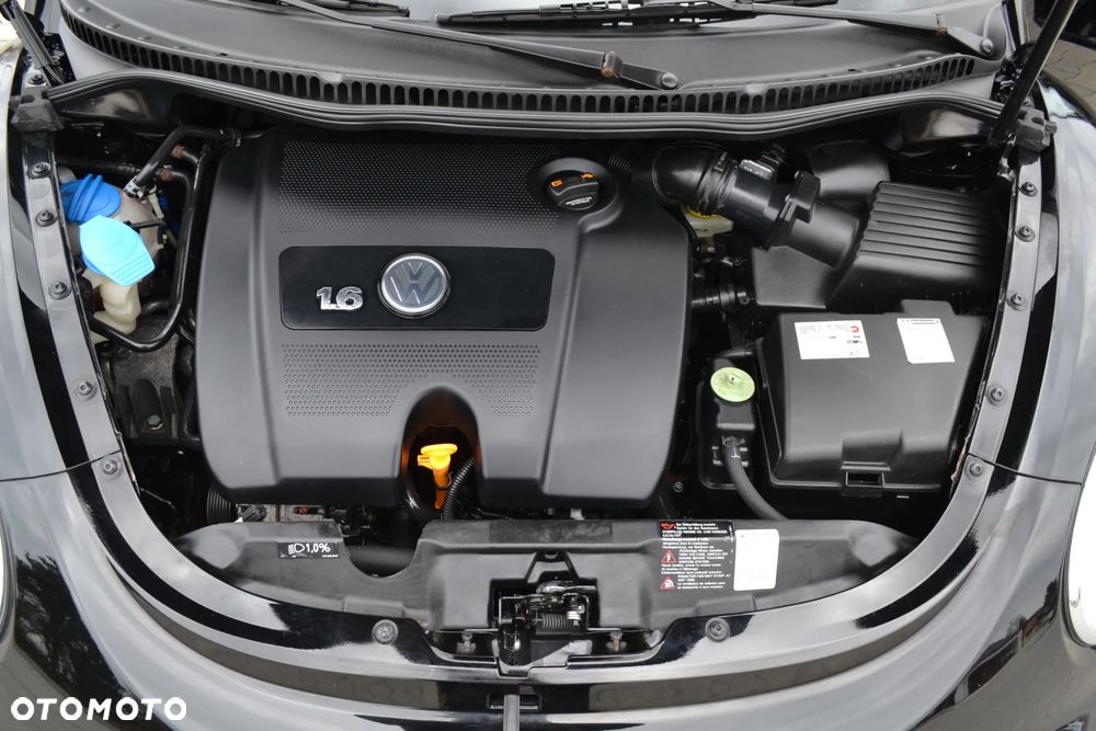 Volkswagen New Beetle - 10