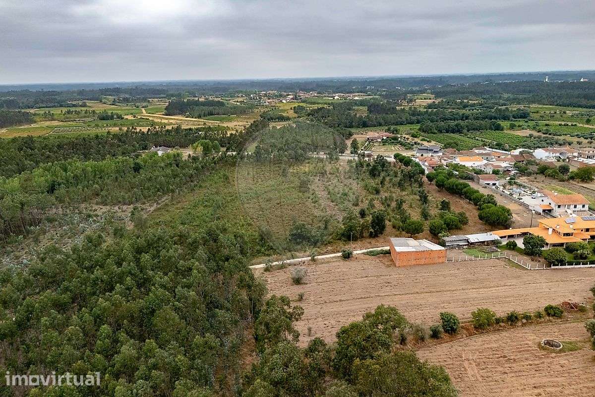 Terreno  para venda - Grande imagem: 5/8