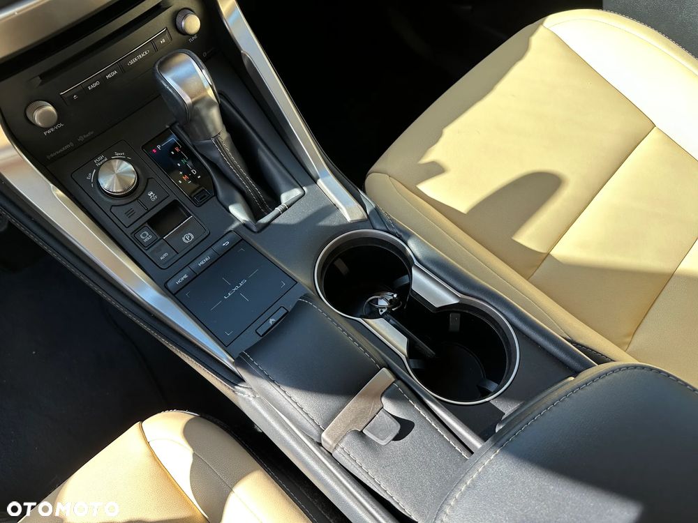 Lexus NX - 16