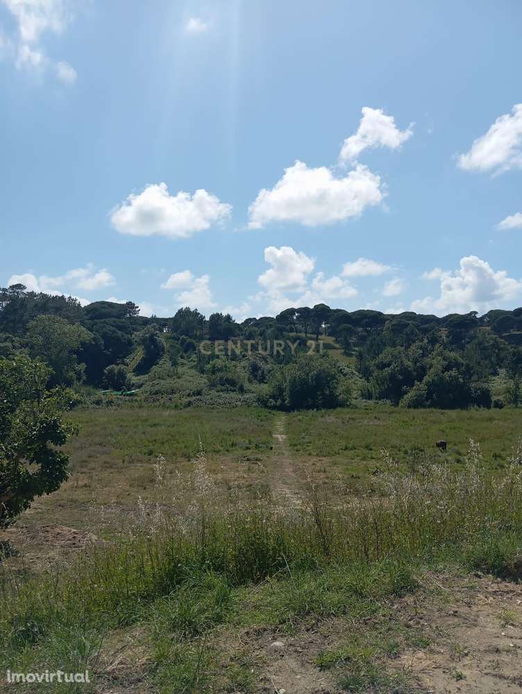 Terreno Rústico perto do Meco - Grande imagem: 5/7