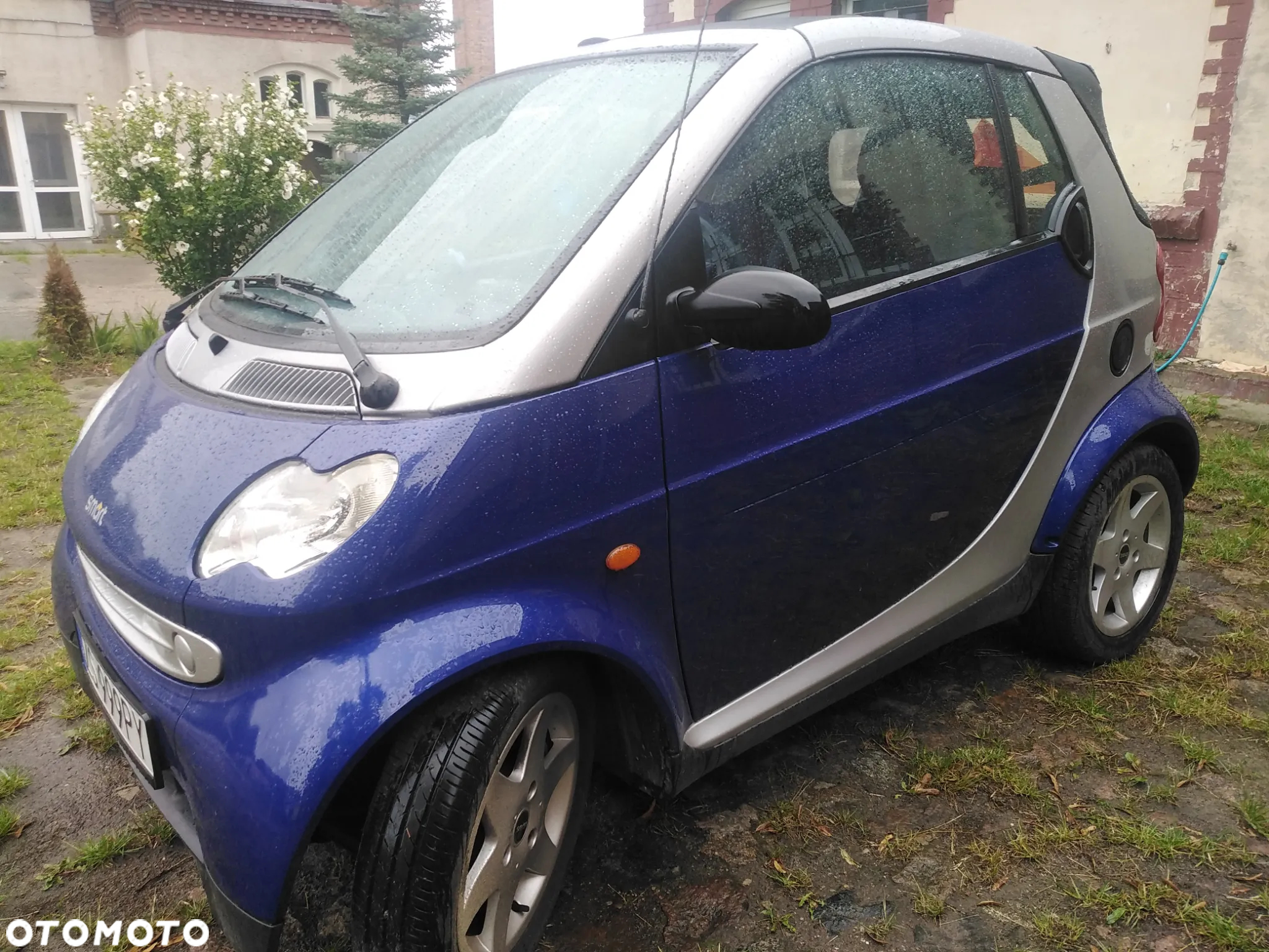 Smart Fortwo & passion - 5