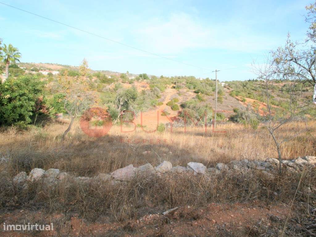 Terreno rústico de 2.400m² em Boliqueime, ideal para cultivo - Grande imagem: 4/6