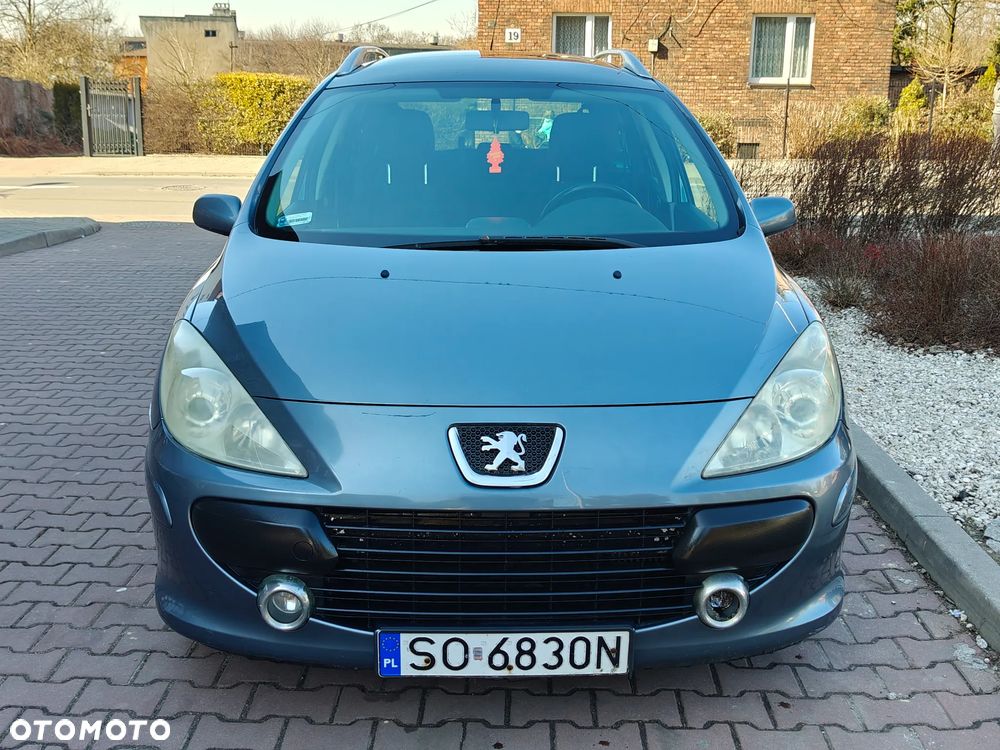 Peugeot 307 HDi 135 Platinum - 32