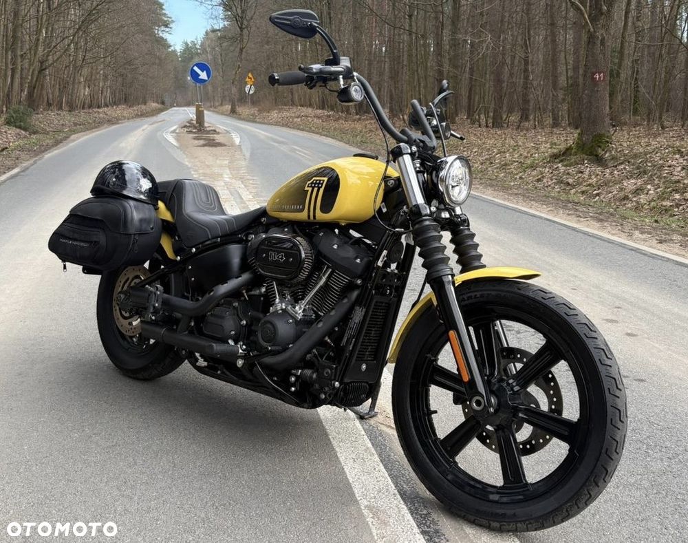 Harley-Davidson Softail - 8