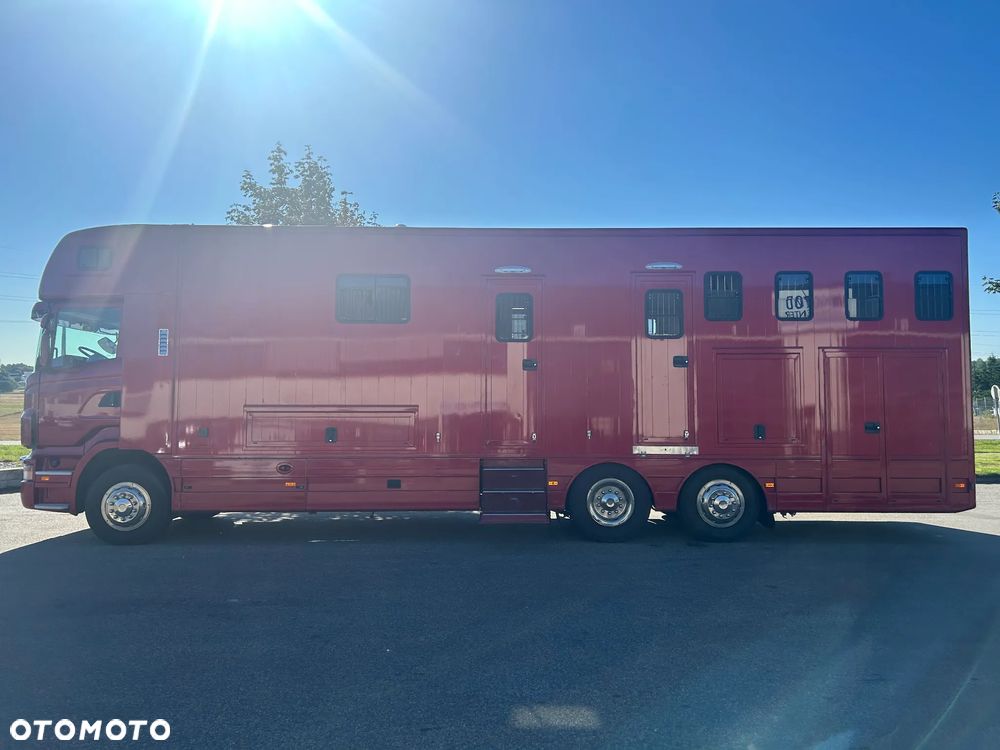 Scania R340 Koniowóz POP OUT - 8