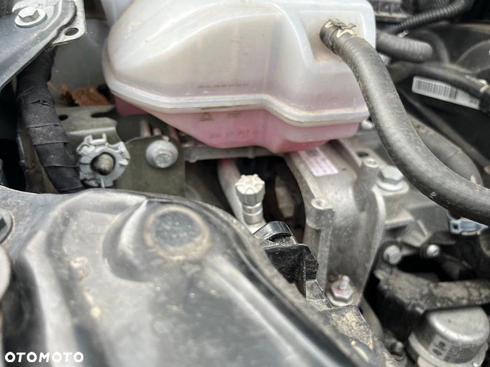 Seat Ibiza 1.0 EcoTSI S&S FR - 19