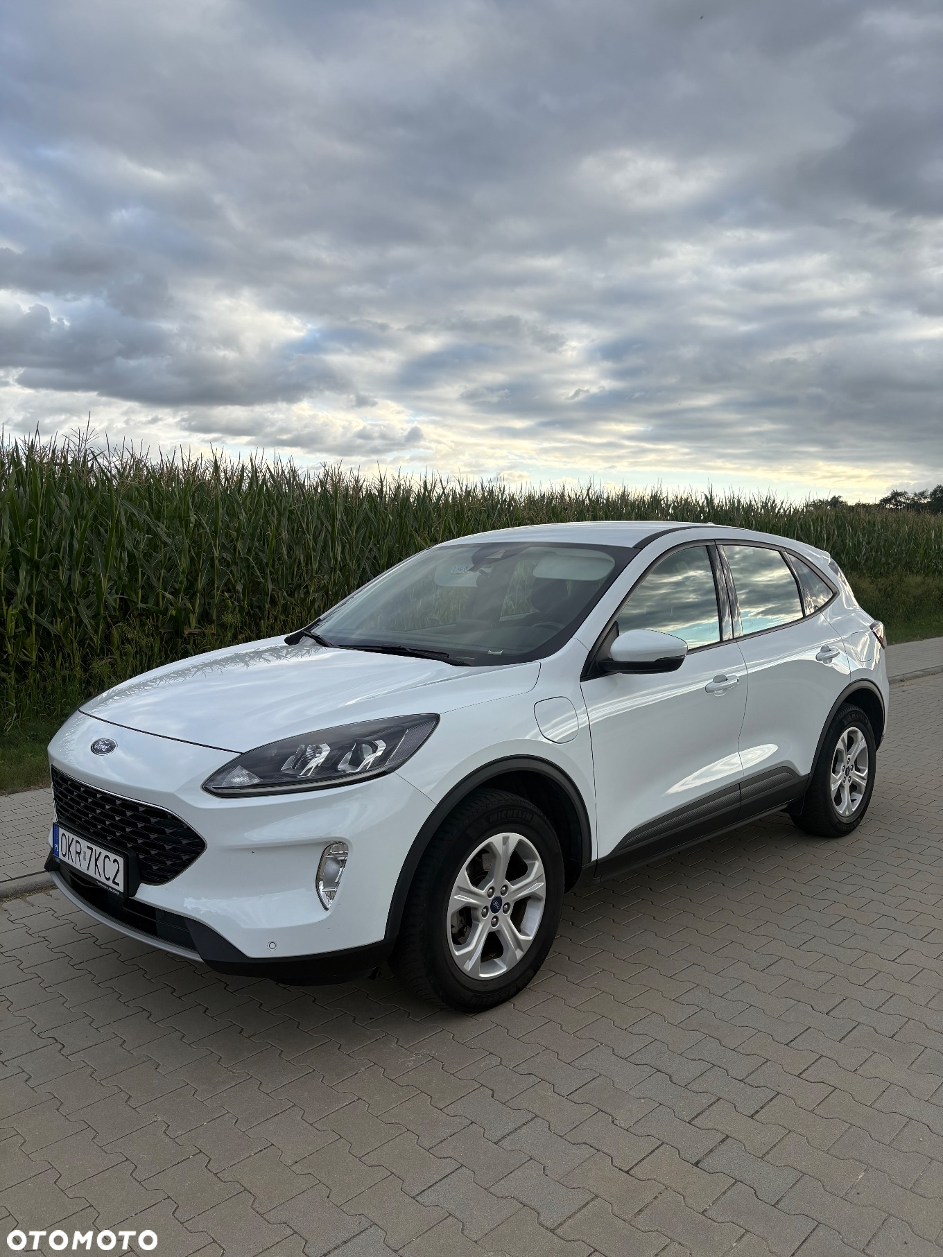 Ford Kuga - 3