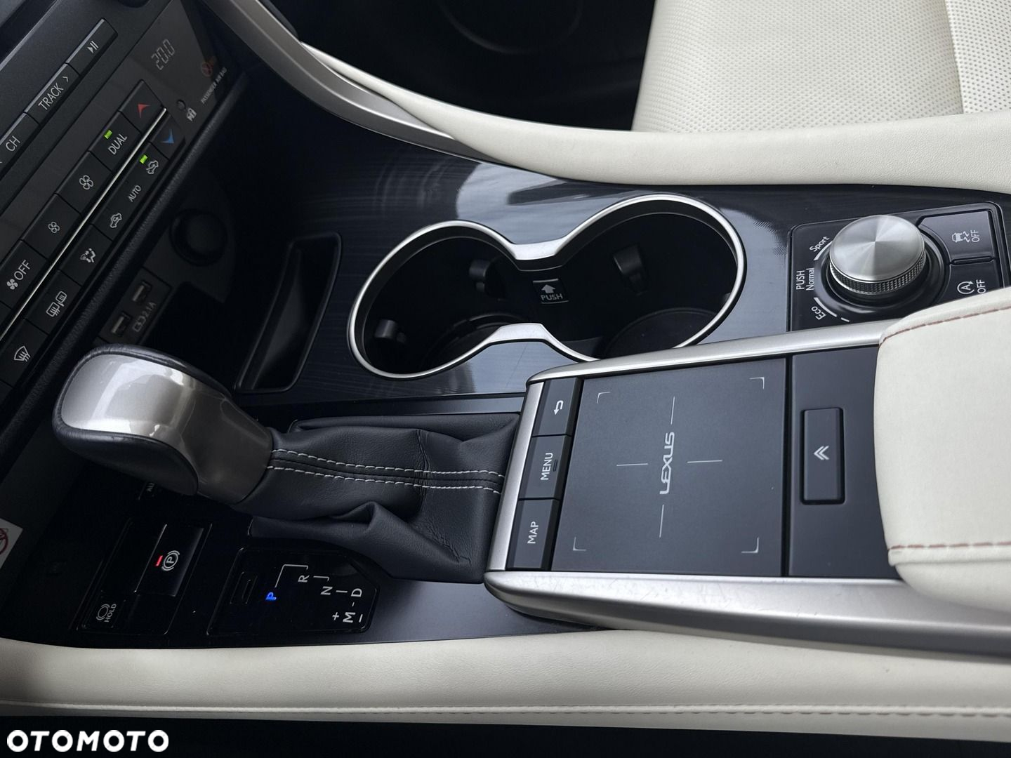 Lexus RX - 18