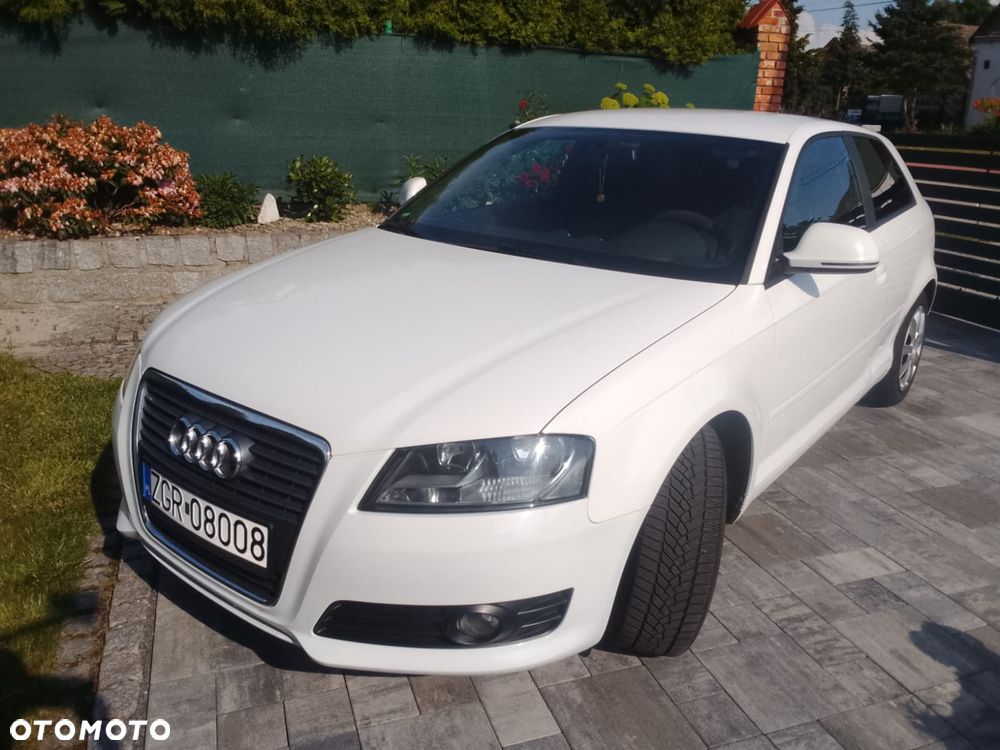 Audi A3 3-drzwiowe 1.6 Ambiente - 13