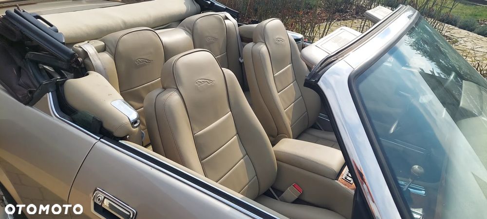 Jaguar XJS - 15
