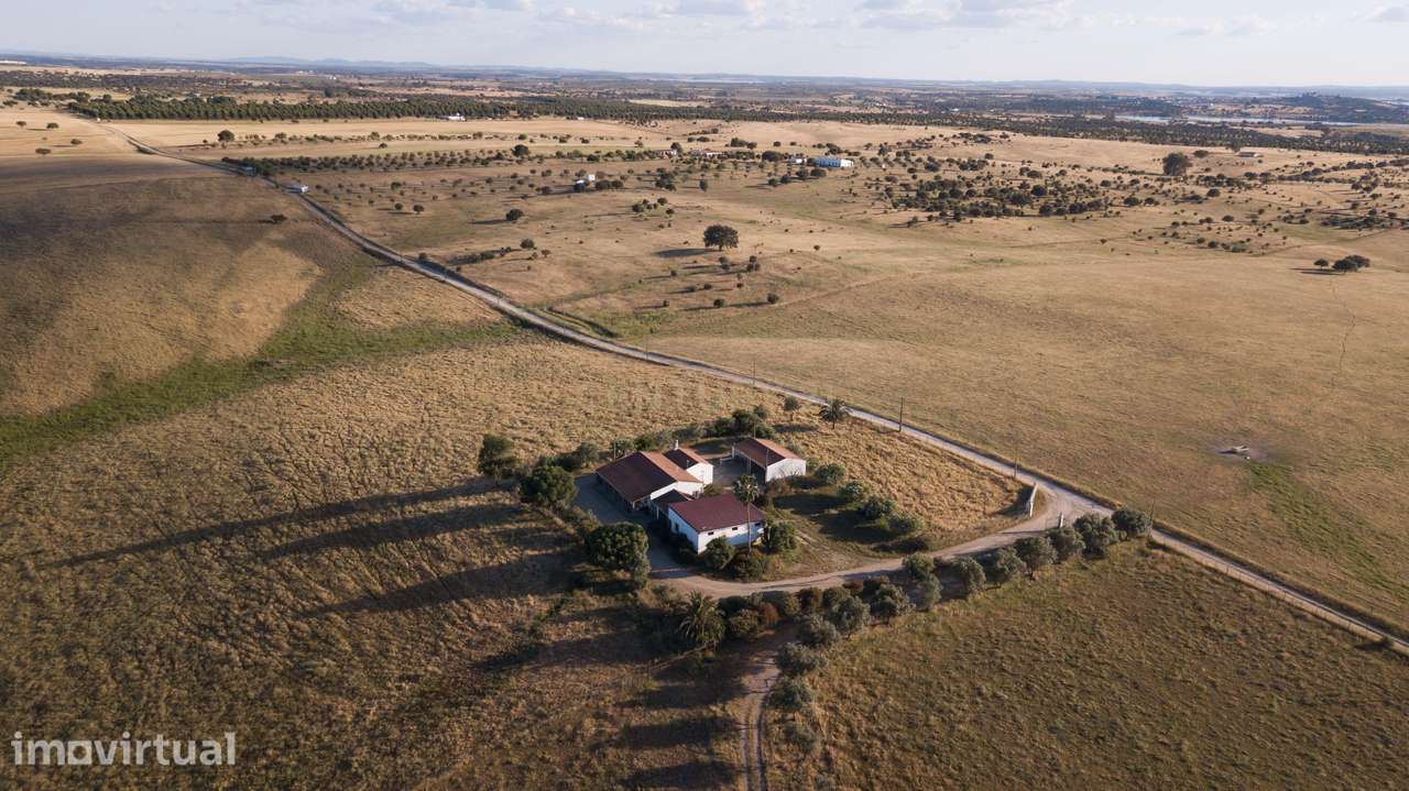 Monte Alentejano - Herdade das Lavradias, Mourão - Grande imagem: 5/20