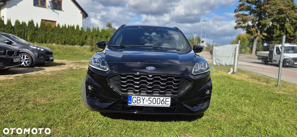 Ford Kuga 2.0 EcoBlue Hybrid ST-LINE - 2