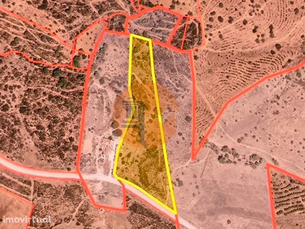 TERRENO RUSTICO COM 1.6 HECTARES - PRÓXIMO A ELETRICIDADE - PRÓXIMO... - Grande imagem: 2/28