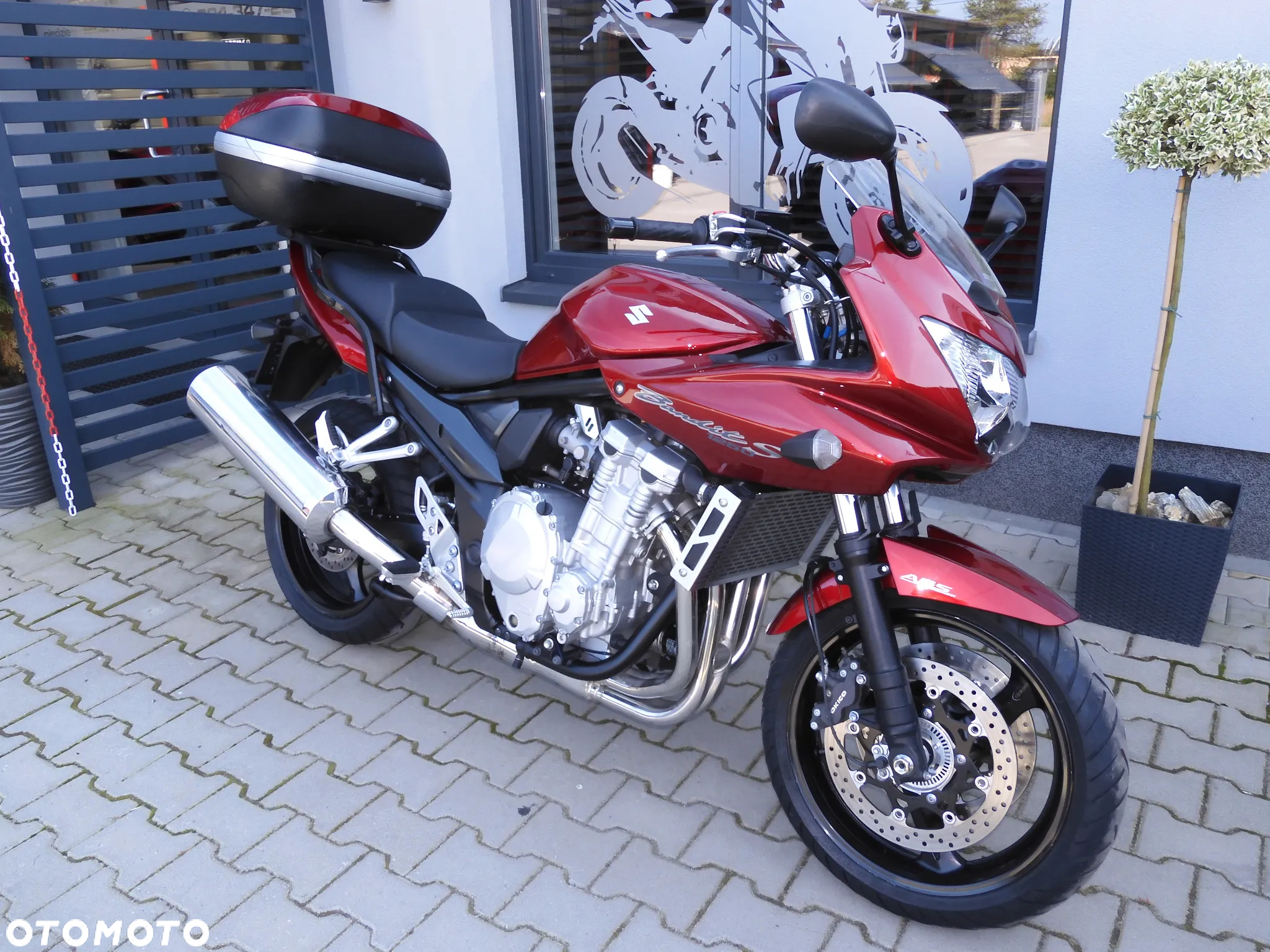 Suzuki Bandit - 15