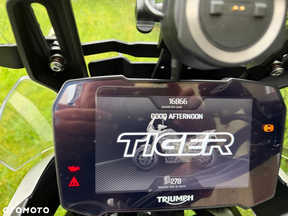 Triumph Tiger - 26