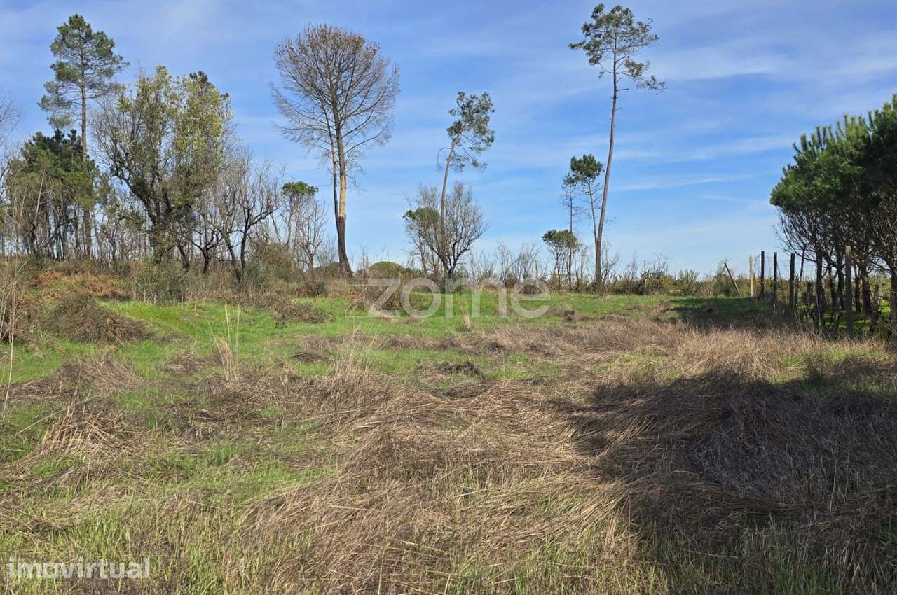 Terreno em Nelas para construção com projeto - Grande imagem: 4/26