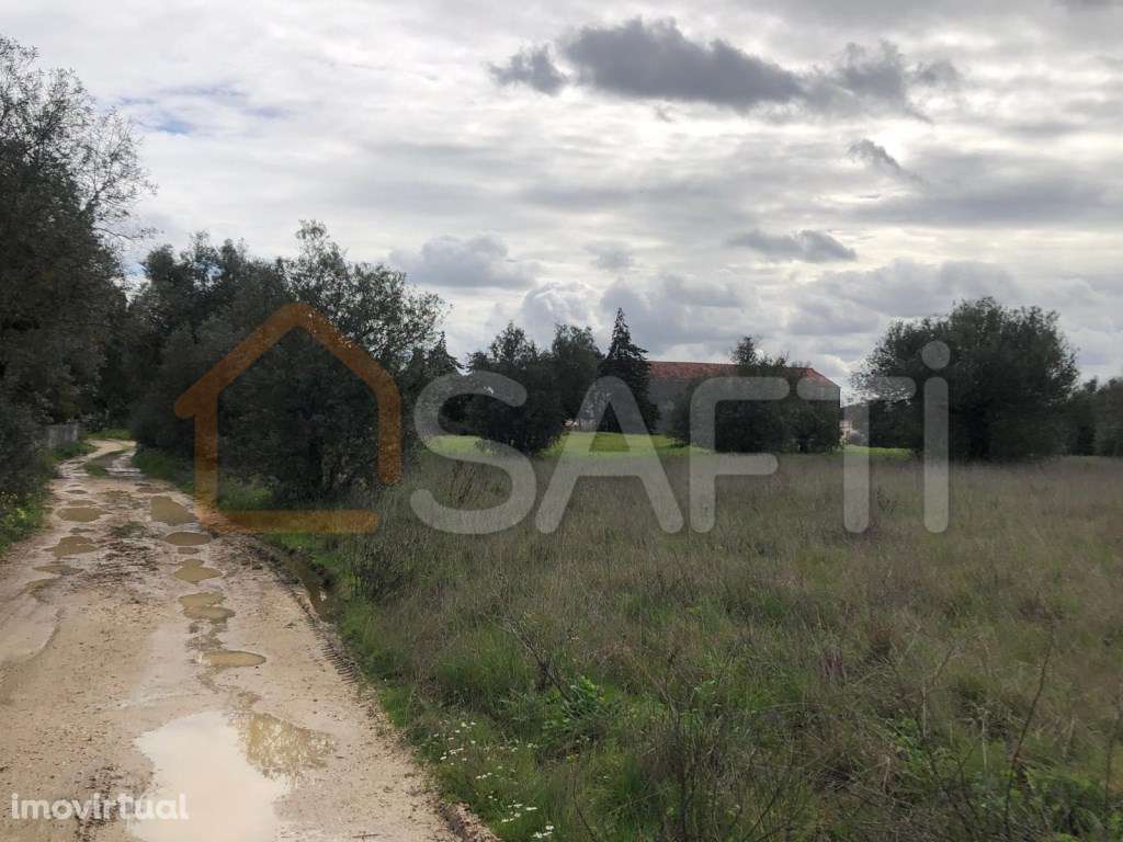Terreno com 12.280 m2 em Chão do Clero, Gouxaria, Alcanena - Grande imagem: 2/7