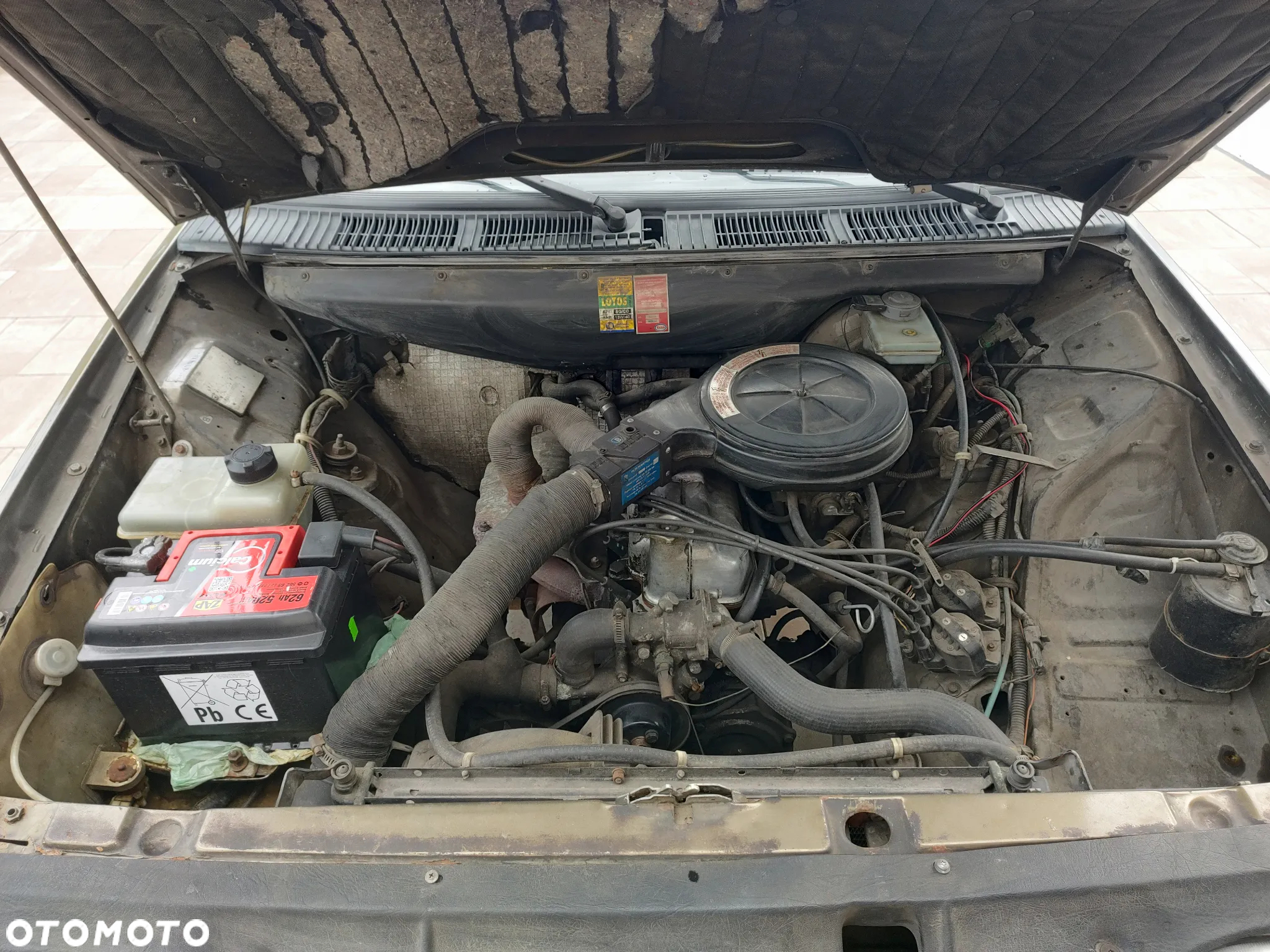 Polonez Caro - 12
