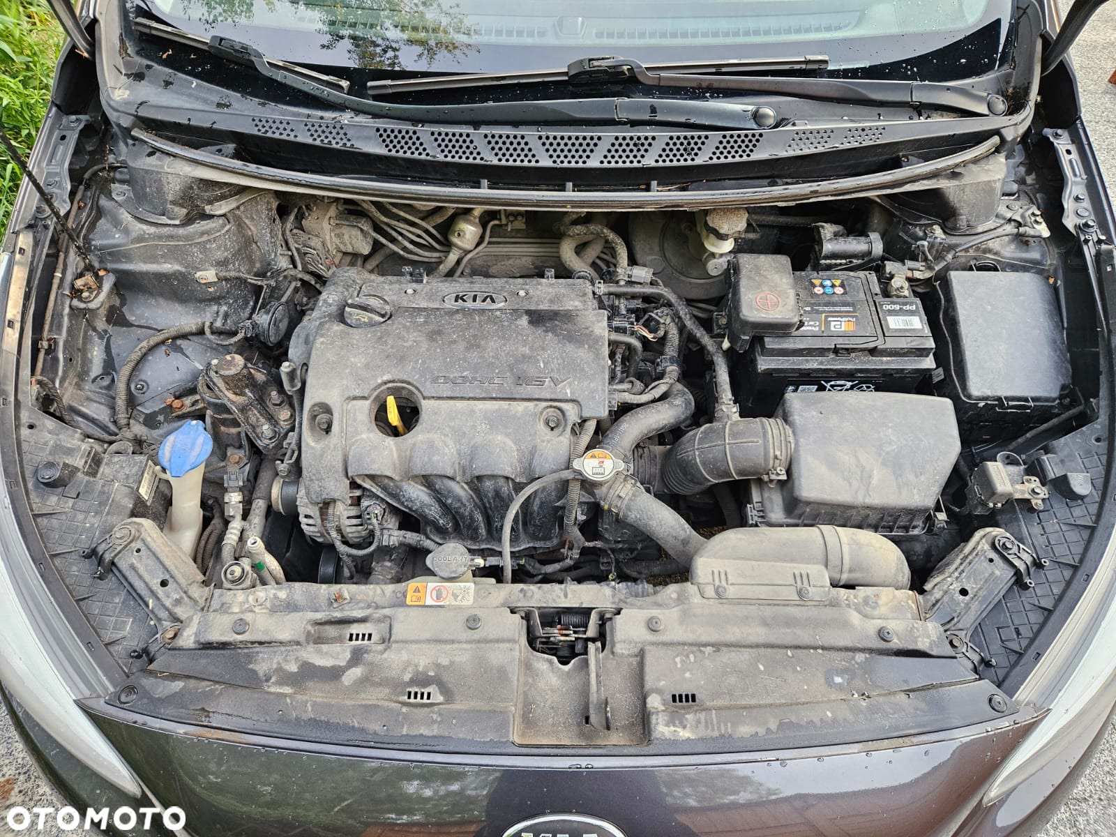 Kia Ceed Cee'd 1.4 M - 15