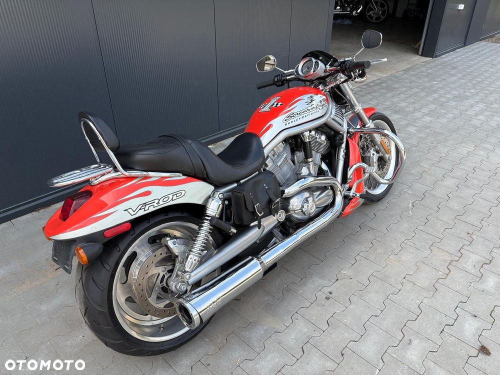 Harley-Davidson Softail V-Rod - 7