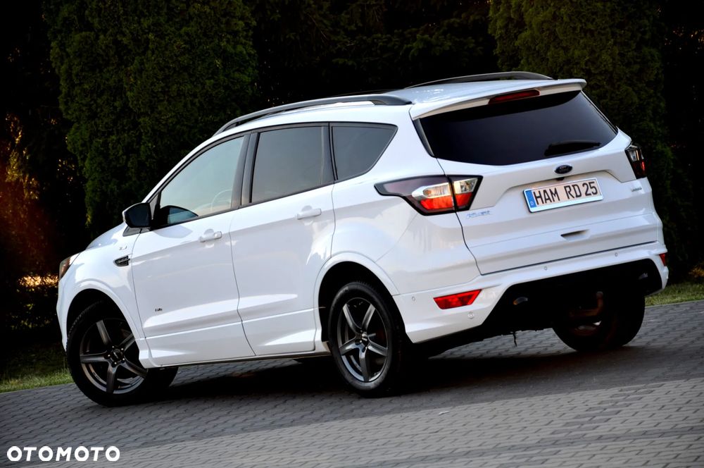 Ford Kuga 1.5 EcoBoost 4WD Titanium Plus - 20