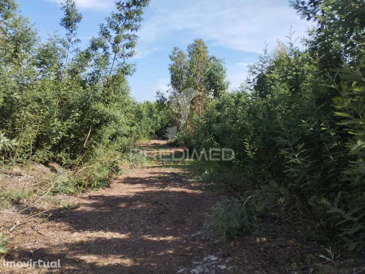 Terreno Urbano em Azurva - Grande imagem: 5/9