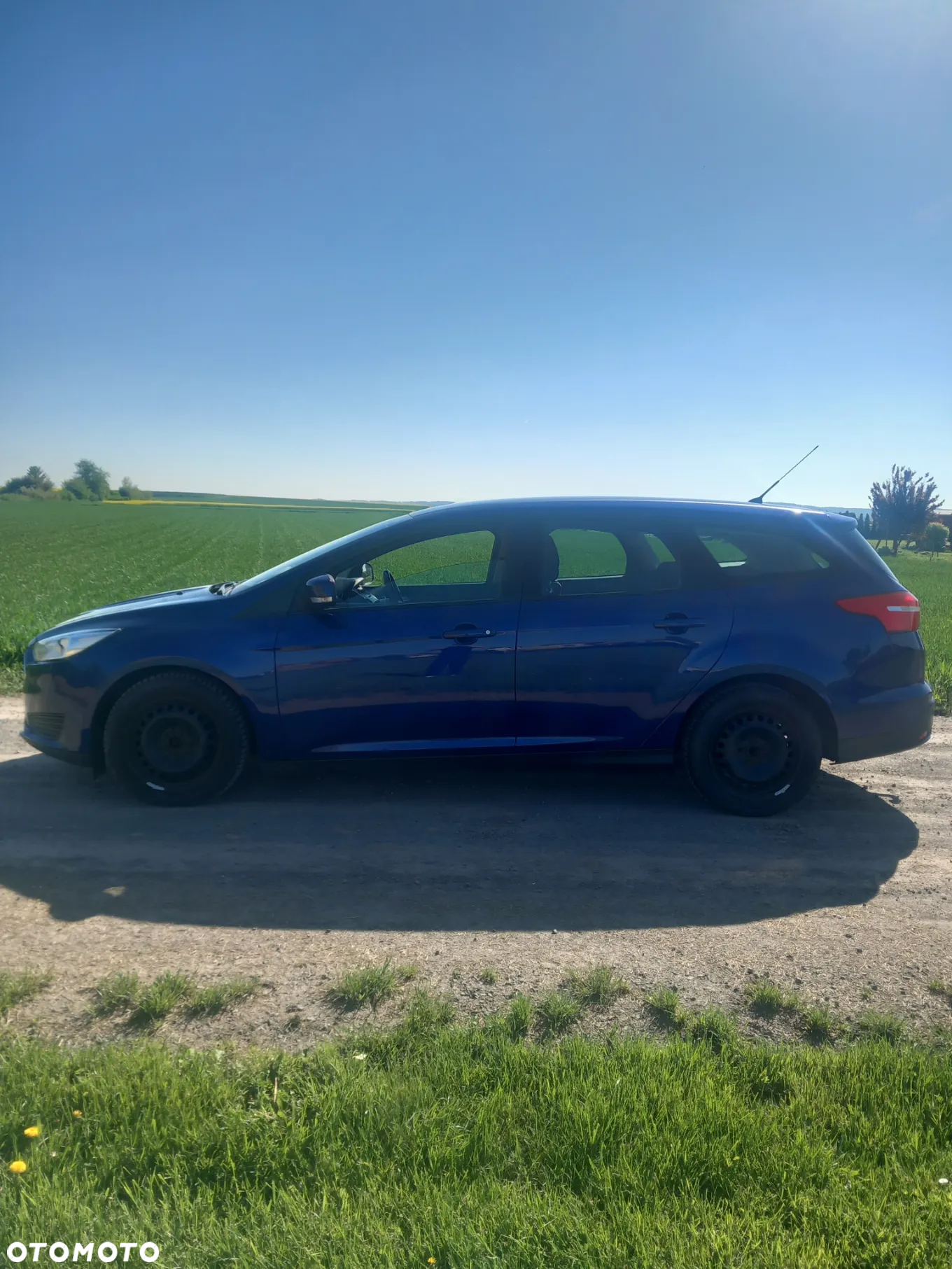 Ford Focus - 4
