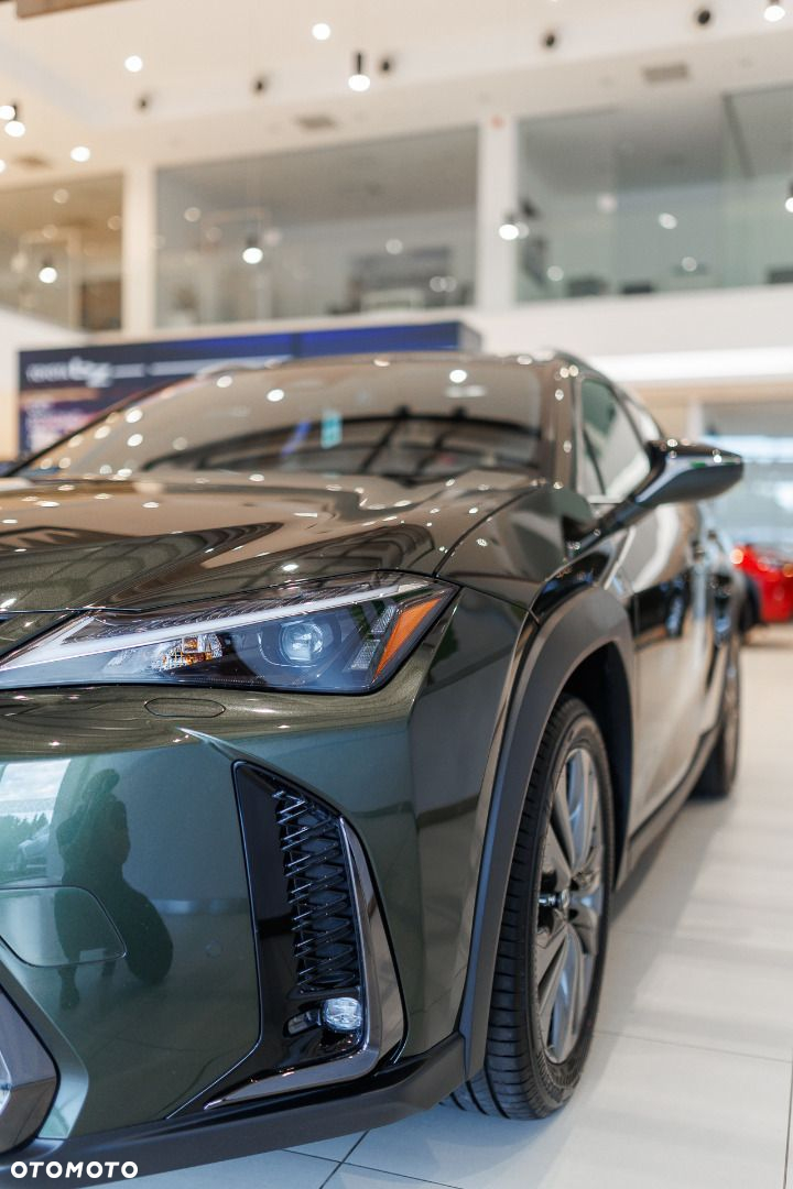 Lexus UX - 19