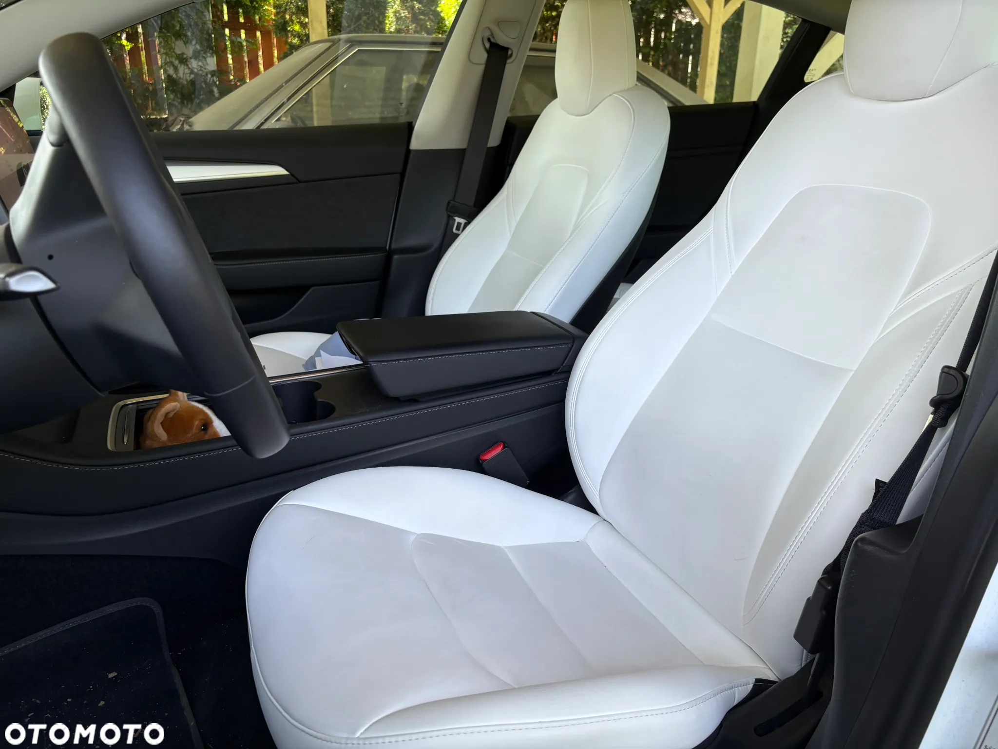 Tesla Model 3 Standard Range Plus - 6