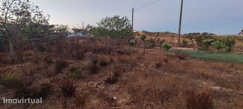 Terreno Ourique água e luz - Grande imagem: 4/6