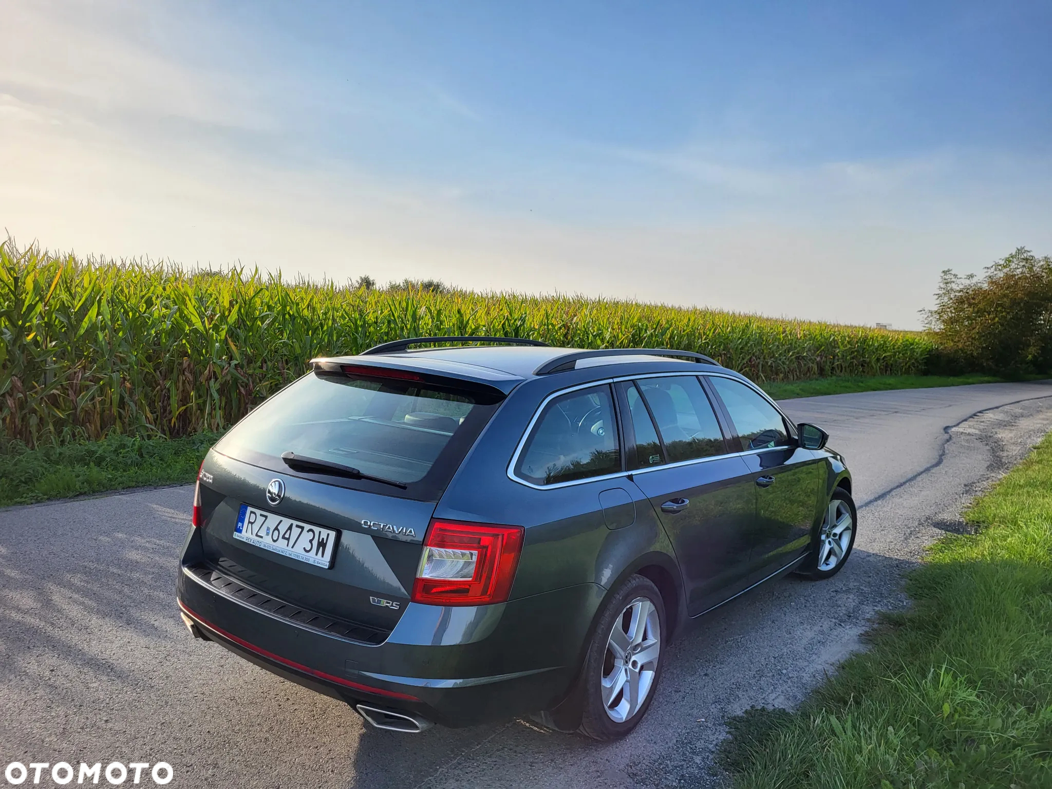 Skoda Octavia 2.0 TDI RS DSG - 2