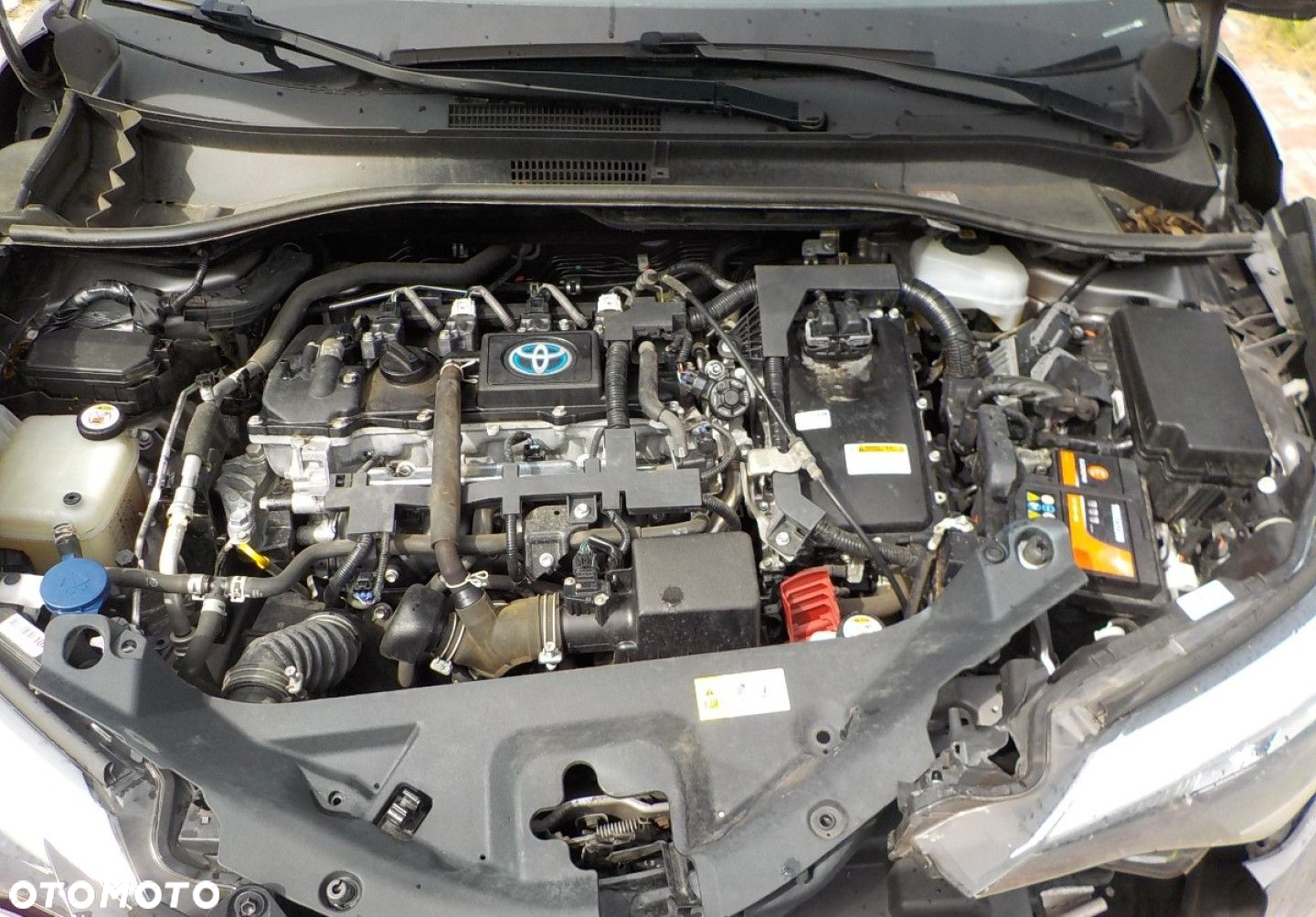 Toyota C-HR - 3