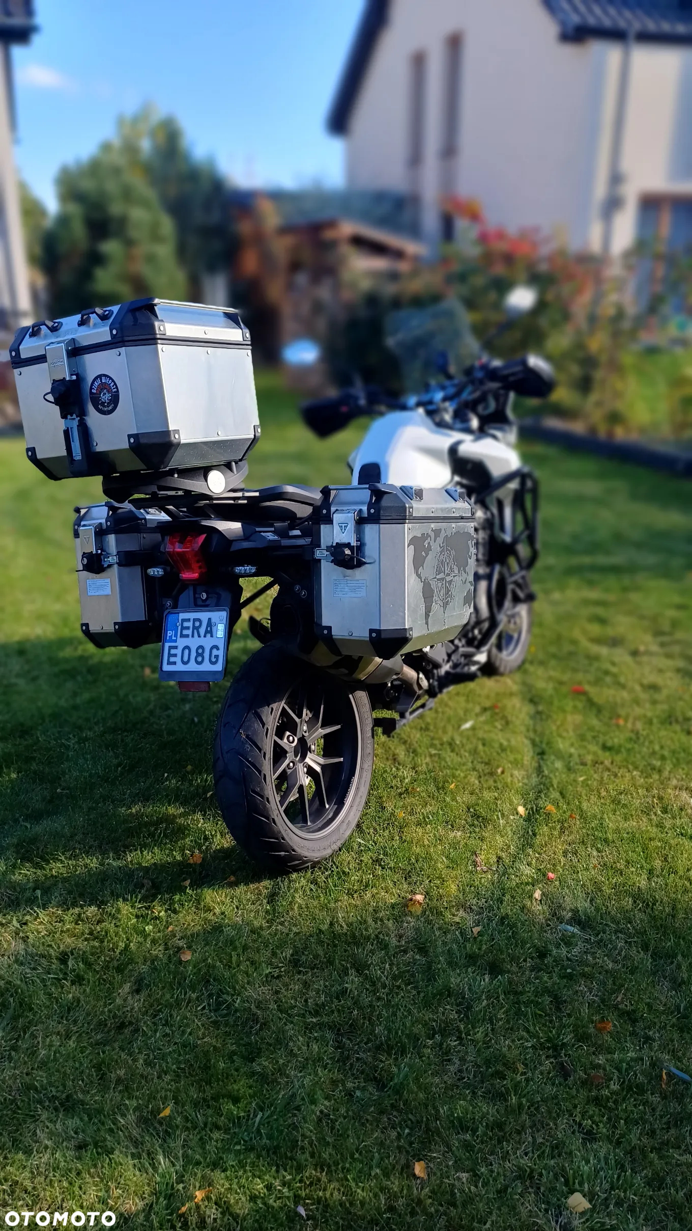 Triumph Tiger