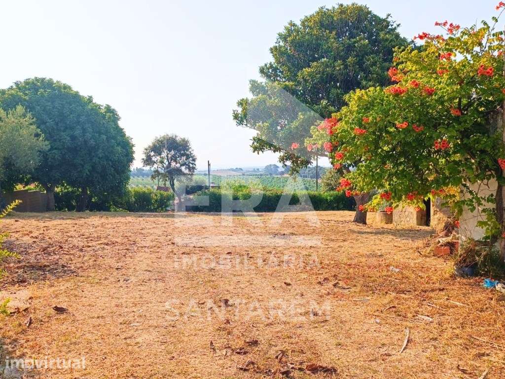 Propriedade com 2 moradias e terreno - Grande imagem: 3/22