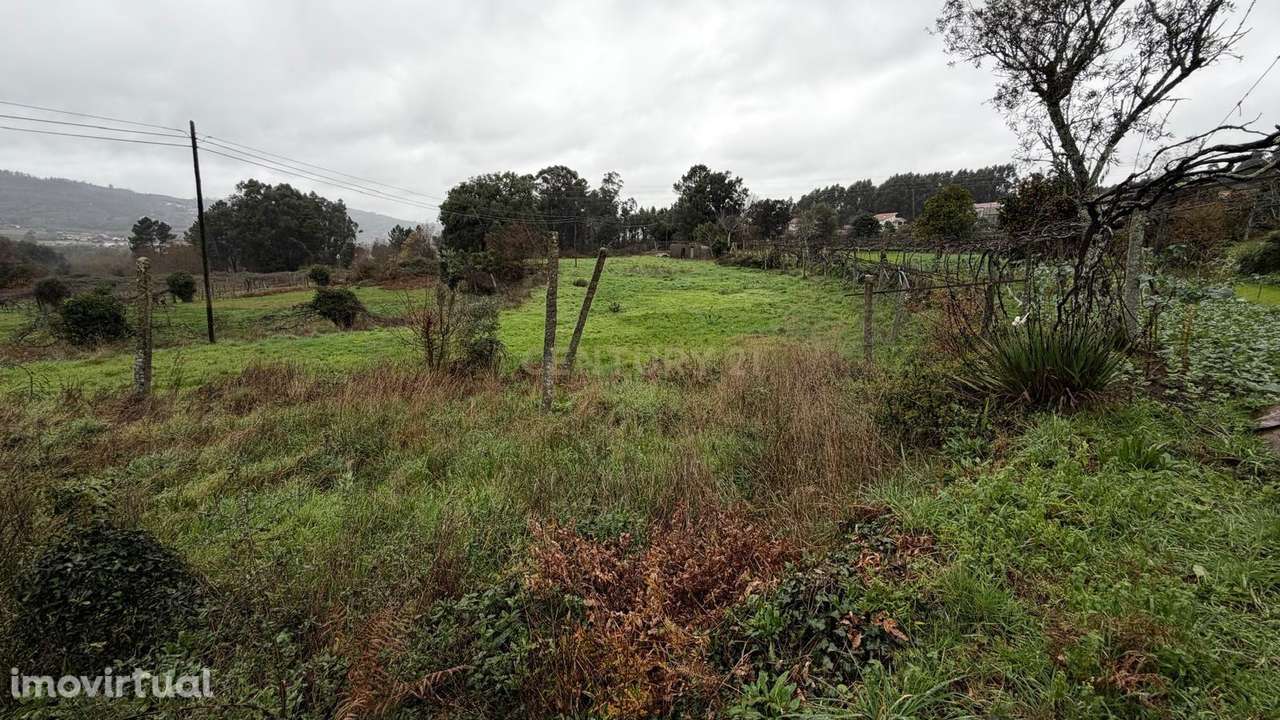 Terreno Rústico em Jugueiros – Portela, Penafiel - Grande imagem: 3/4