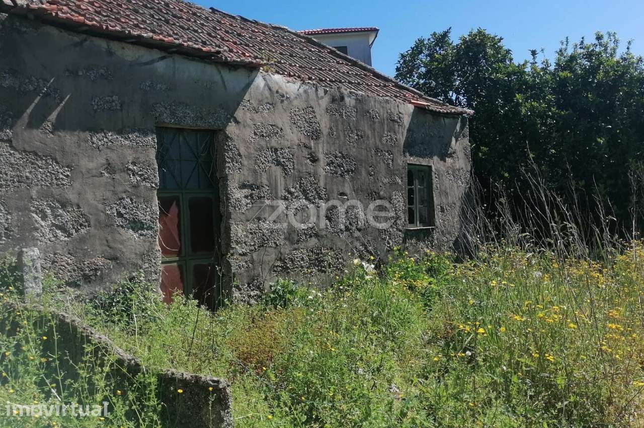 INVESTIMENTO | Terreno Urbano para Projeto Habitacional com Potencial - Grande imagem: 3/19