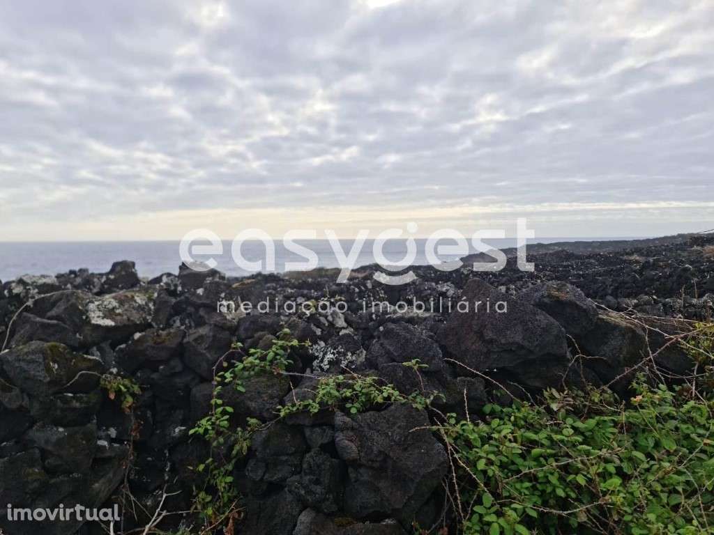 Terreno de vinha junto ao mar na zona da Mirateca na ilha do Pico - Grande imagem: 3/15