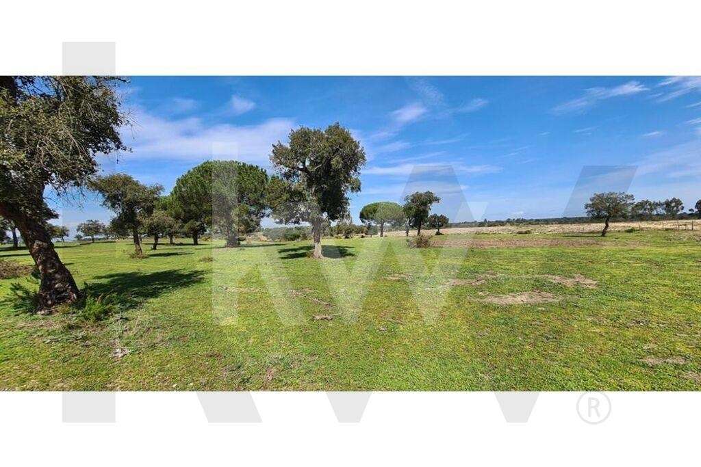 HERDADE COM 190 HA EM BENAVENTE, DISTRITO DE SANTARÉM - Grande imagem: 3/40