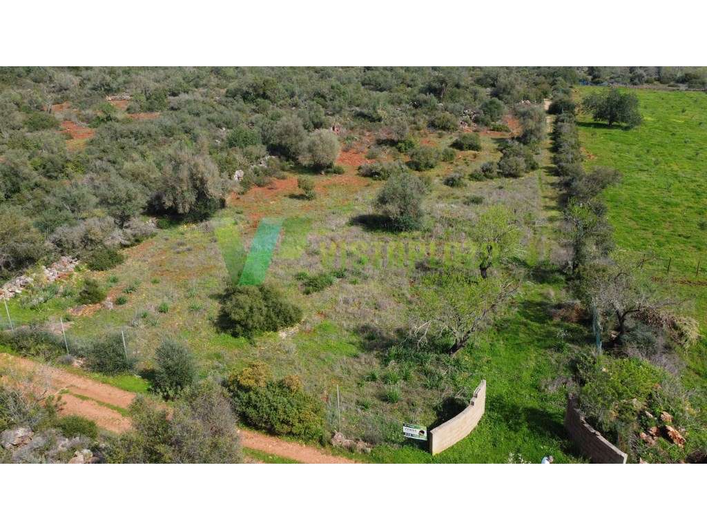 Terreno Rústico em Paderne , Algarve, com Vista Desafogada e Excele... - Grande imagem: 4/24