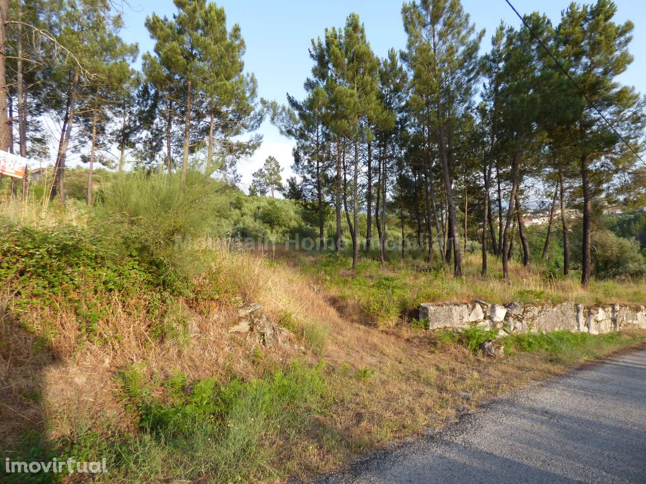 Quintinha  Venda em Ribamondego,Gouveia - Grande imagem: 3/6