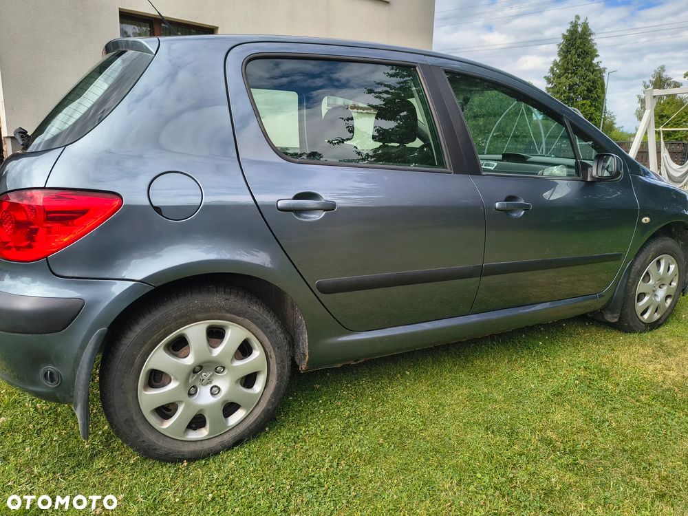Peugeot 307 1.4 XR - 12