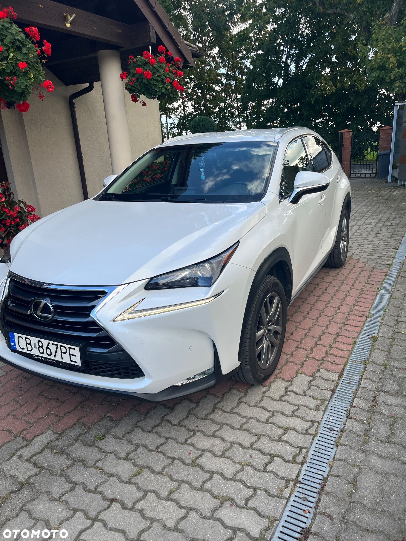 Lexus NX 200t Comfort AWD - 1