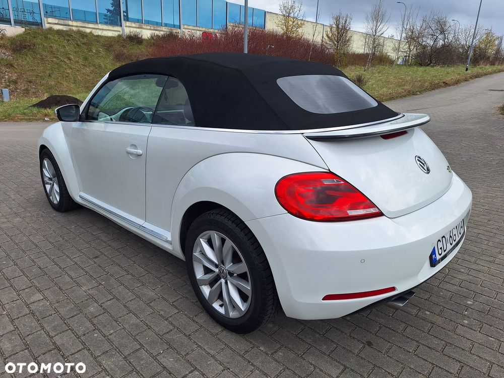 Volkswagen Beetle - 8