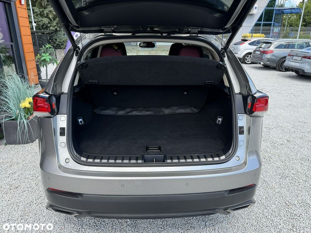 Lexus NX 300 Executive Line - 31