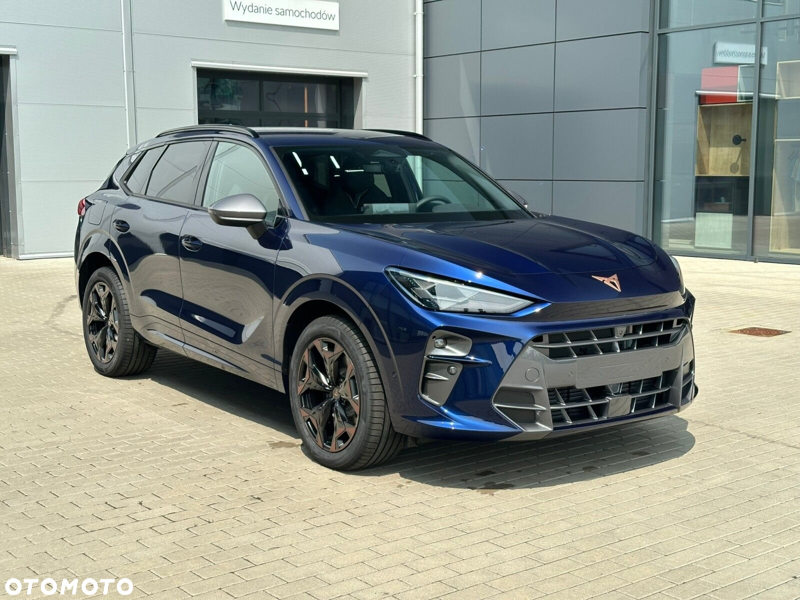 Cupra Terramar - 5