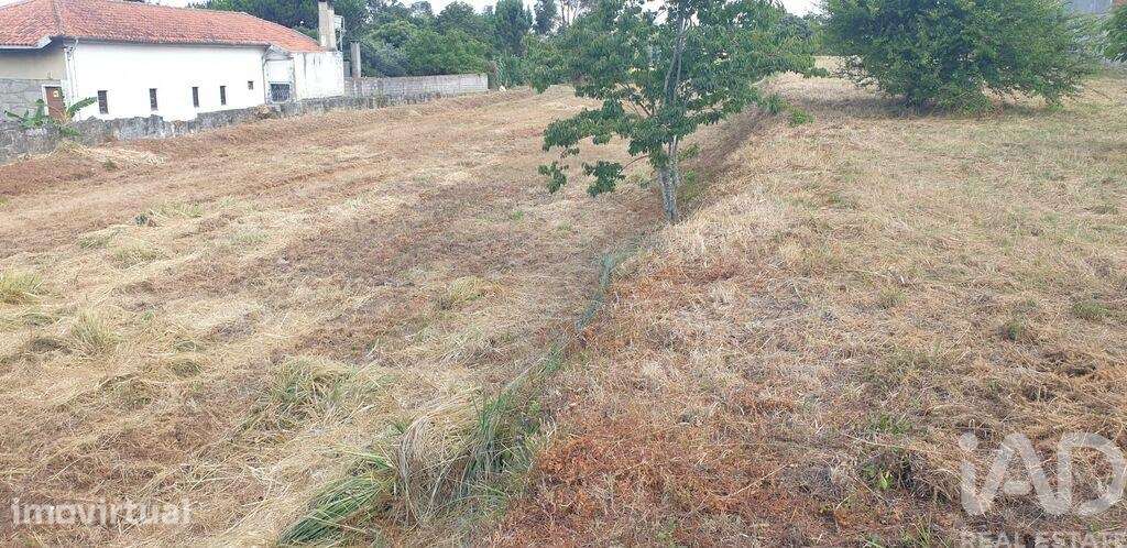 Terreno para construção em Custóias, Leça do Balio e Guifões - Grande imagem: 5/8