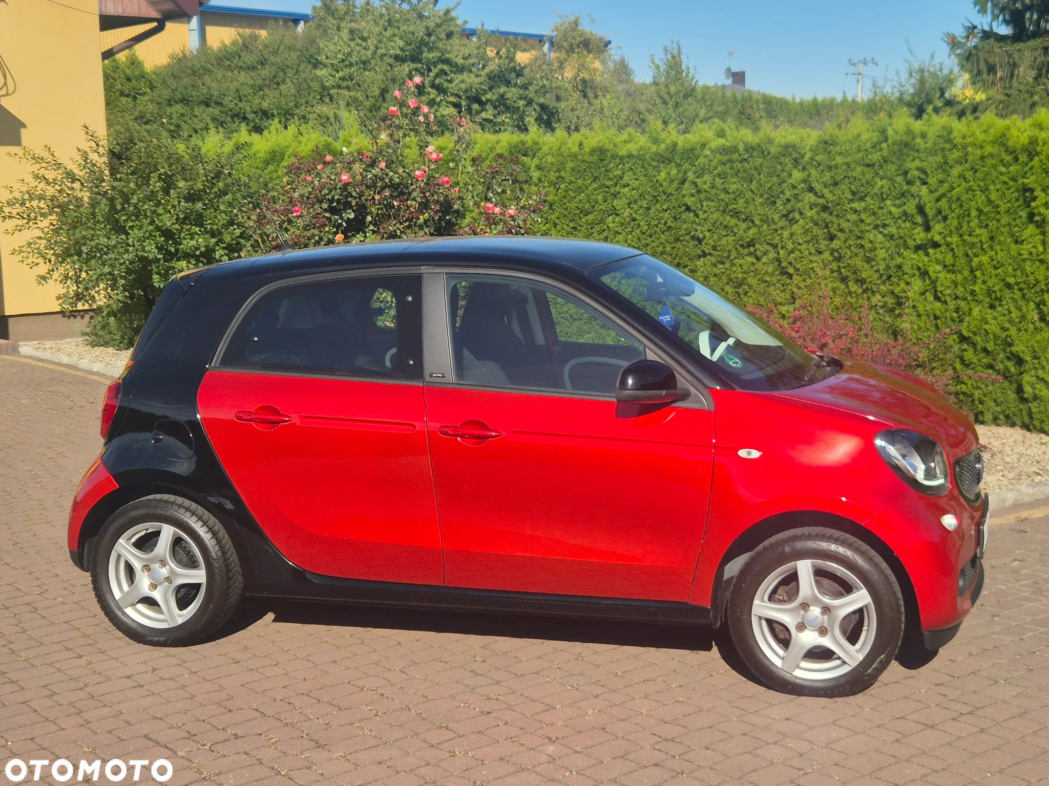 Smart Forfour prime - 6