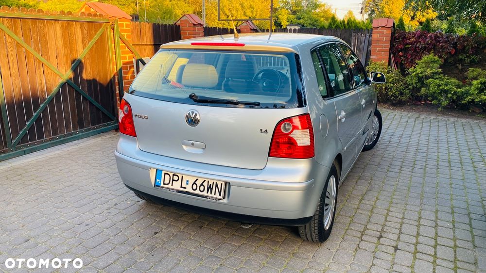 Volkswagen Polo - 8