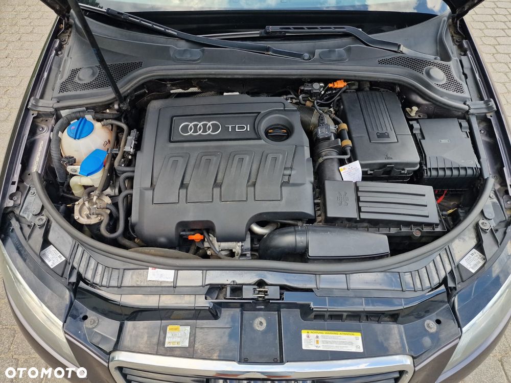 Audi A3 3-drzwiowe 1.6 TDI DPF Attraction - 24