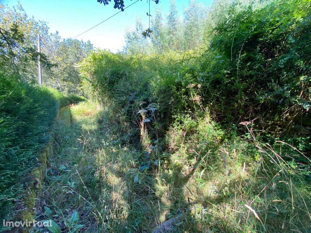 Ruína para restauro - Grande imagem: 2/16